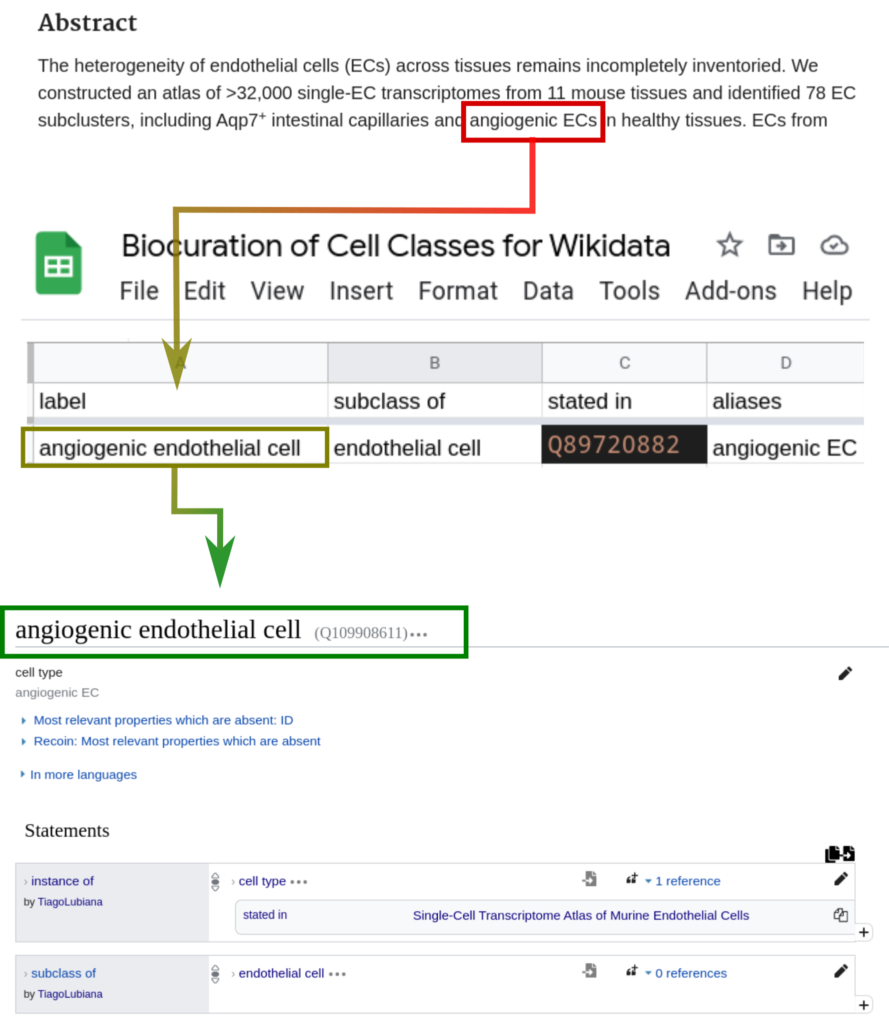 Figure 10: Wikidata Bib was coupled with a biocuration framework for cell types